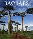 Baobabs by 