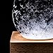 AlphaPLUS Home Weather Predicting Original Storm Glass | Water Drop Barometer Thermometer | Weather Forecaster | Admiral Robert Fitzroy HMS Beagle | Fitzroys Stormglass | Globe Predictor Gift