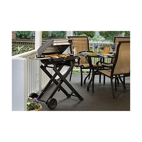 Cuisinart-CGG-240-All-Foods-Roll-Away-Gas-Grill-Stainless-Steel