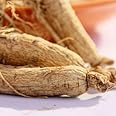 White Ginseng Root or Shen Herb | You Ji Bai Shen Chinese Herb - Chinese Herb 1 Oz