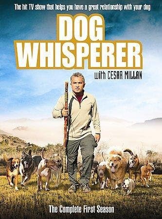 cesar millan amazon
