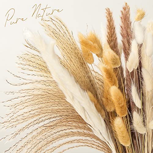 JOHOUSE 60pcs Dried Pampas Grass,White Brown Pampas Reeds Dried Bunny Tails Flowers Vase Boho Home Decor