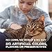 Hill'S Ideal Balance Adult Natural Cat Food, Chicken & Brown Rice Recipe Dry Cat Food, 3.5 Lb Bag