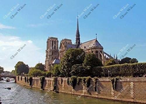 Summer Notre Dame Cathedral Paris France Architecture Original Fine Art Photography Wall Art Photo Print