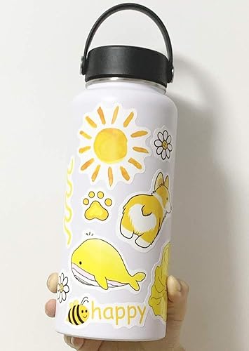 VSCO Stickers, Vinyl Waterproof Water Bottle Stickers, Laptop