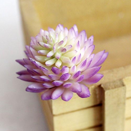 HJFF-Plastic Artificial Miniature Succulents Plant Cactus Flower Home Decor ,Purple A