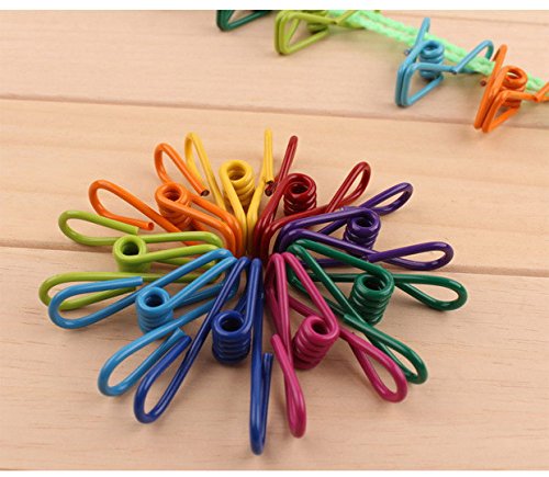 DLOnline 30 Pack Colorful Steel Wire Clips,Multi-Purpose Clothesline Utility Clips,Windproof Clothespin Wire Clips - Thumbnail 4