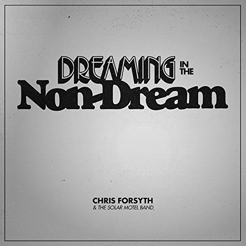 Album art for Dreaming In The Non-Dream by Chris Forsyth & The Solar Motel Band