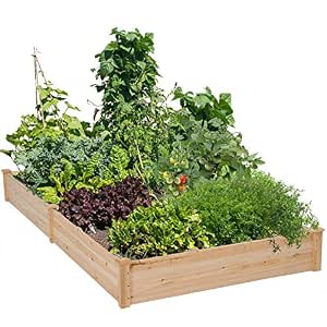 Cyanhope - Juego de Cama elevada de Madera para jardín, Maceta ...