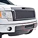 Paramount Restyling 46-0744 Black Stainless Steel Wire Mesh Bumper Grille (Ford F-150 Evolution)