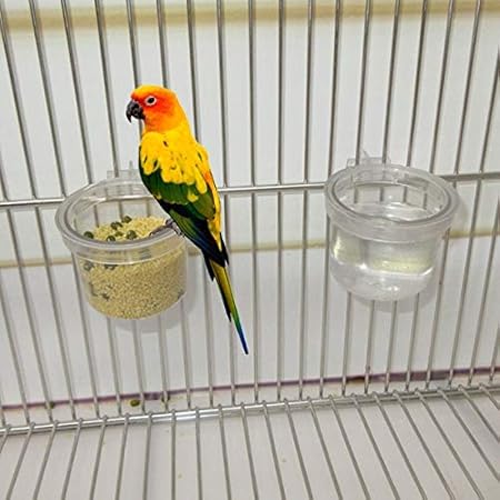 Amazon Com Hot Bird Feeding Birds Parrot Feeder Pets Clear
