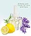 Scent Fill Relax Blend Plug in Air Freshener, 4 Scented Oil Refills
