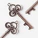 50 Key Bottle Openers, Assorted Vintage Skeleton Keys, Wedding Party Favors (50, Antique Copper)