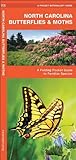 North Carolina Butterflies & Moths: A Folding Pocket Guide to Familiar Species (Pocket Naturalist Guide Series)
