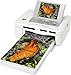 Sony Picture Station DPP-FP90 4x6 Photo Printer