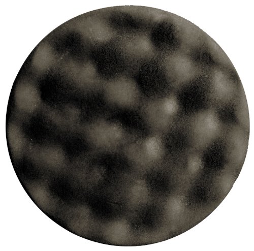 Click Here to See More Images Wizards (11307) Gray 7-1/2