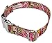 Country Brook Petz - Premium Pink Paisley Dog Collar - Paisley Collection with 6 Classy Designs (1 Inch, Large)