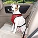 Relgard Dog Seat Belt