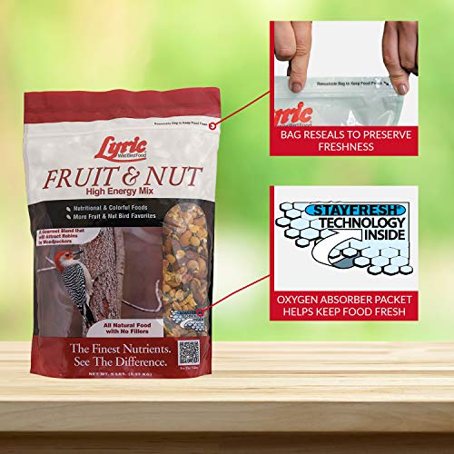 Lyric Fruit and Nut Wild Bird Seed, High Energy Wild Bird Food Mix, 5