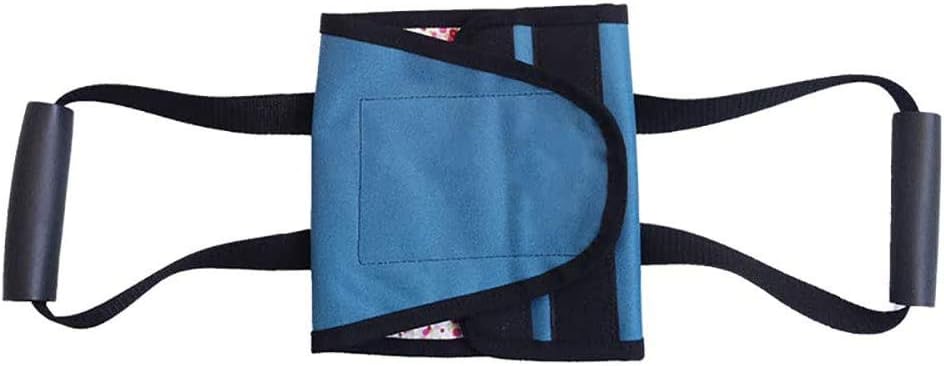 Fushida Leg Lifter Strap with Double Handles,Medical Transfer Pad for Legs,Rigid Foot Lifter & Hand Grip for Lifting,Transferring and Turning(FYH404) (Blue, Rail): Health & Personal Care