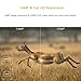 TOGUARD Trail Camera 14MP 1080P Game Camera with Night Vision Motion Activated Waterproof Wildlife Hunting Cam 120° Detection with 0.3s Trigger Speed 2.4