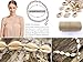 POTESSA Natural Shell Beads Handmade Hawaii Wakiki Beach Choker Adjustable for Ladies