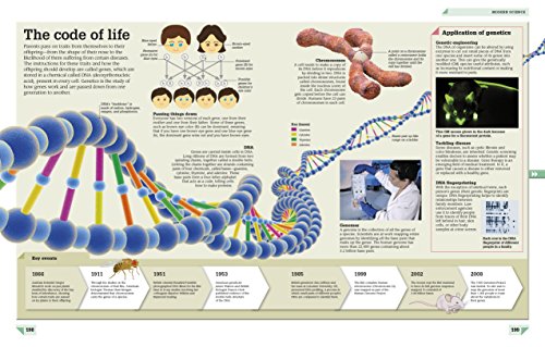 Science Year by Year: A Visual History, From Stone Tools to Space Travel (DK Children's Year by Year)