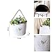 Watering Honey French Country Rustic White Shabby Chic Mini Metal Wall Hanging Planters