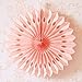 SANNIX Hanging Paper Fan Decorations Celebration Party Decoration Honeycomb Tissue Paper Fans for Birthday Wedding Events Accessories Backdrop Decor 6 PCs,12 inch,Peach