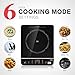 NWK Multifunctional Quick Heat 1800W Preset/Count Down Timer 6 Pre-Programed Induction Cooker Countertop Burner, Black