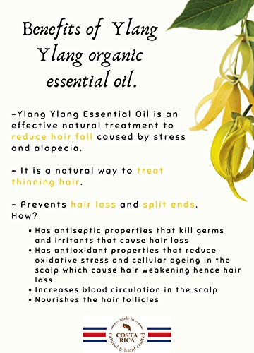 Papaya & Beeswax Hair conditioner (14 oz)- With Lemon and Ylang Ylang essential oil, Avocado extract- For soft and shine hair - Sulfate, Paraben free- With natural ingredients - Moisturizing.
