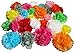 Tissue Paper Pom Poms - Set of 30 Pcs - Pre Folded Paper Decoration for Party Wedding Birthday Bridal Baby Showers Mexican Fiesta Flowers - 6 8 10 Inch - 10 Mixed Colors
