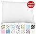 Toddler Pillow (13