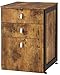 Coaster Furniture Estrella 3-Drawer File Cabinet Antique Nutmeg and Gunmetal 800656
