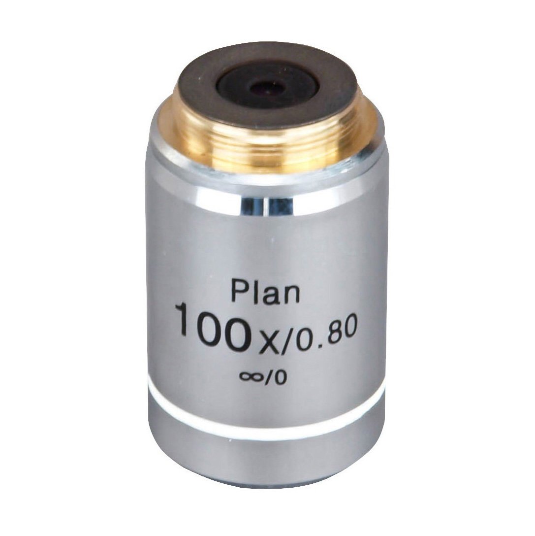 Omax 100 X 0 80 Infinity corrected Seco Campo De Plan Microscopio omax-100-x-0-80-infinity-corrected-seco-campo-de-plan-microscopio