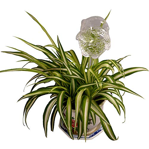 Automatic Flower Slow Drip Watering Hand Blown Clear Glass Owl Shaped Plant Self Watering System Irrigation for Indoor Outdoor Planter Water Container Potted Plant Waterer Decoration (Owl)