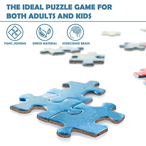 Jigsaw Puzzle for Adults 1000 Pieces, ACSTEP Gradient Color Rainbow