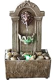 Newport coast collection Lion Head Color Changing LED Tabletop Water Fountain with Adapter (included)