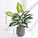 U'Artlines 2 Pack Artificial Plants Topiary Shrubs Fake Plants with Gray Pot for Tabletop Bathroom House Decoration