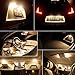 Boodled 4 X T10 W5W Canbus No Error 3030 PX Chipset 12-smd LED Bulbs for 168 194 175 Car Interior Dome Map Door Courtesy License Plate Lights Error Free (No Polarity) (3500K~4000K WARM WHITE)
