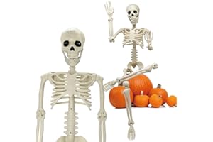 DINESIL 36" Halloween Skeleton Decorations, 3FT Halloween Posable Skeleton Plastic Realistic Human Full Body Bones with Movable Joints for Halloween Party Decor, Haunted House Props Indoor Outdoor Decoration