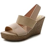 Ollio Women's Shoe Strappy High Heel Wedge Platform Sandal