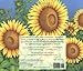 Sunflower House