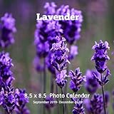 Lavender 8.5 X 8.5 Calendar September 2019 -December 2020: Monthly Calendar with U.S./UK/ Canadian/C by 