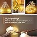 MZD8391 10 Pack Waterproof Fairy String Lights, MZD8391 20 LED 6.6 FT Copper Wire Lights for Bedroom Wedding - (Battery Operated)