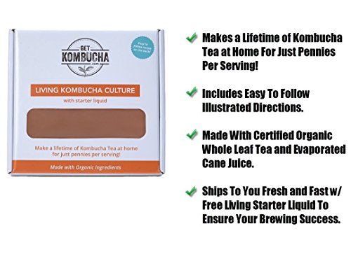Makes Kombucha Tea On Tap. Continuous Kombucha Home Brew Kit Makes 127 Bottles Of Great Tasting Kombucha Tea Right From Home Every 28 Days! Everything You Need To Get Brewing. 180 Day Guarantee. - Thumbnail 4