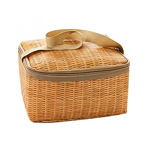 Insulated Lunch Tote Bag Large Capacity for Women Men Girl Boys Kids Wok