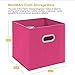 MaidMAX Storage Bins 12x12x12, for Home Organization and Storage, Toy Storage Cube, Closet Organizers and Storage, with Dual Plastic Handles, Fuchsia, Set of 6