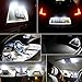 BOODLED 20pcs C5w 31mm(1.25”) LED Bulb 3528 12-SMD Chipsets Xenon White Festoon Interior Dome Map Trunk Cargo LED Bulbs Lights DE3175 DE3021 DE3022 3175,6000K~6500K,DC12V.