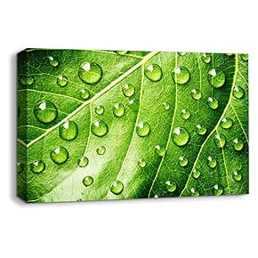 wall26 Canvas Wall Art Leaf Veins Pictures Home...